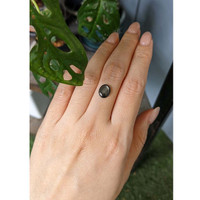 2.48 Ct. Black Star Sapphire from Thailand Life Style