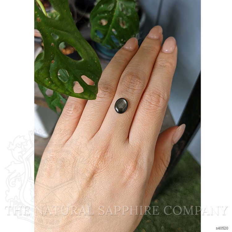 2.48 Ct. Black Star Sapphire from Thailand