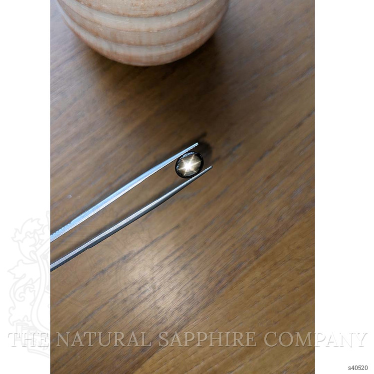 2.48 Ct. Black Star Sapphire from Thailand