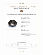3.84 Ct. Black Star Sapphire from Thailand Scan Report
