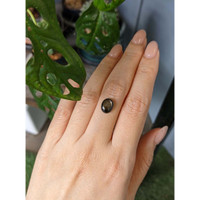 3.84 Ct. Black Star Sapphire from Thailand Life Style