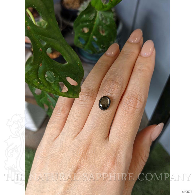 3.84 Ct. Black Star Sapphire from Thailand