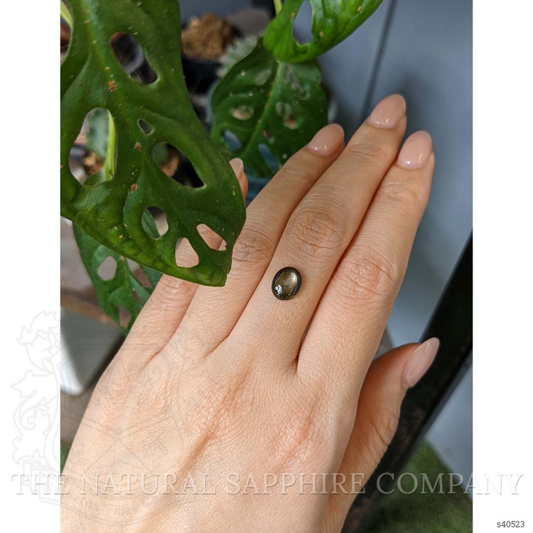 2.09 Ct. Black Star Sapphire from Thailand