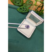 3.01 Ct. Purple Sapphire from Madagascar Life Style