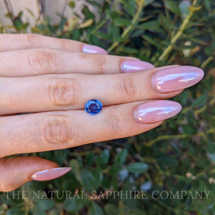 2.48 Ct. Blue Sapphire from Ceylon (Sri Lanka)