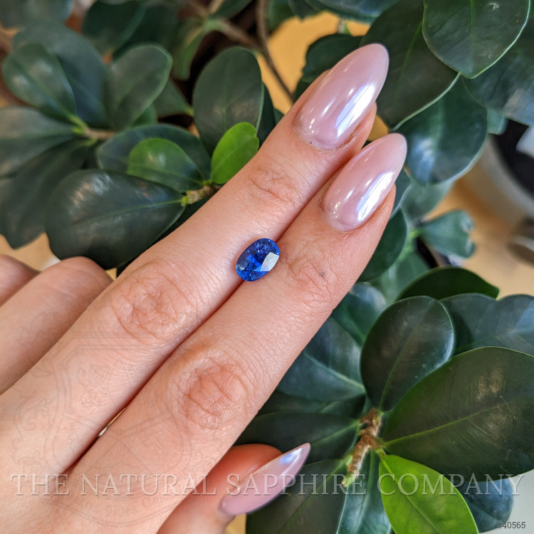 2.43 Ct. Blue Sapphire from Ceylon (Sri Lanka)