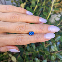2.23 Ct. Blue Sapphire from Ceylon (Sri Lanka) Life Style