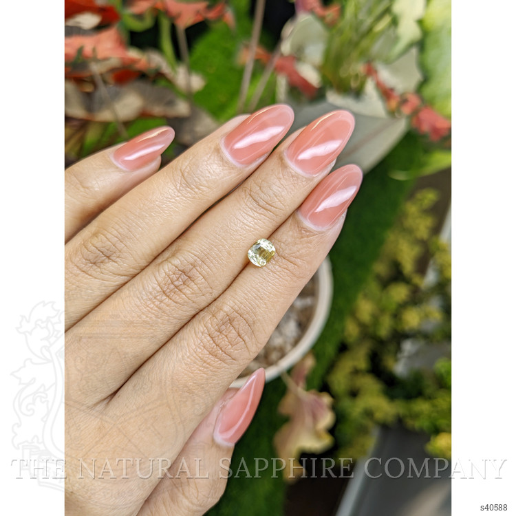 1.00 Ct. Yellow Sapphire from Ceylon (Sri Lanka)