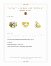 1.37 Ct. Yellow Sapphire from Ceylon (Sri Lanka) Appraisal