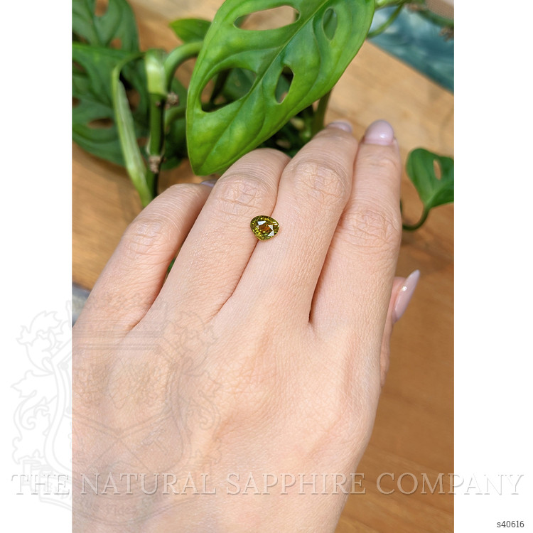 1.10 Ct. Yellowish Green Sapphire from Thailand