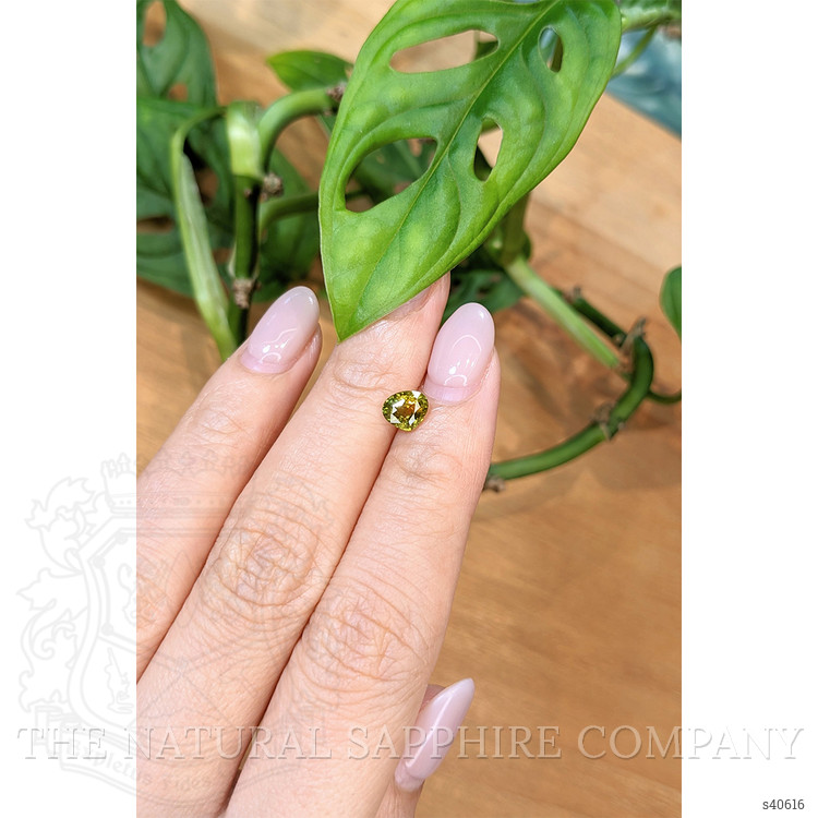 1.10 Ct. Yellowish Green Sapphire from Thailand