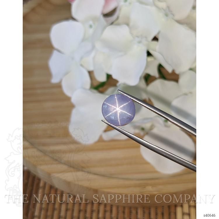 9.49 Ct. Bluish Purple Star Sapphire from Ceylon (Sri Lanka)