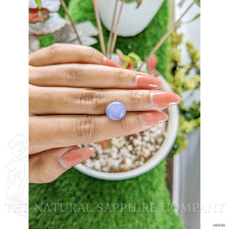 9.49 Ct. Bluish Purple Star Sapphire from Ceylon (Sri Lanka)