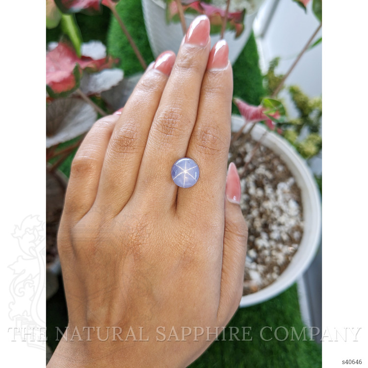 9.49 Ct. Bluish Purple Star Sapphire from Ceylon (Sri Lanka)