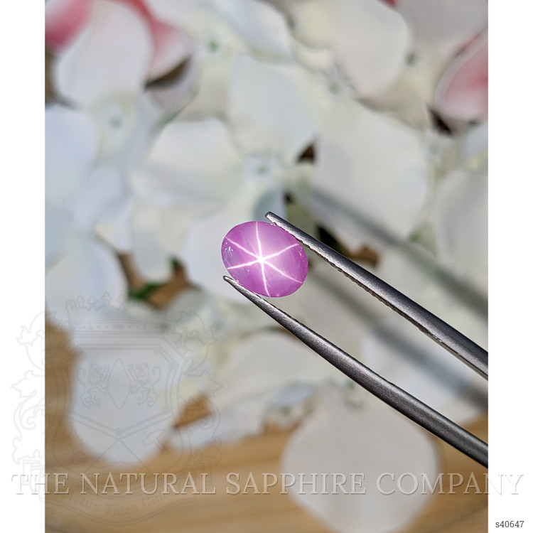2.58 Ct. Purplish Pink Star Sapphire from Ceylon (Sri Lanka)