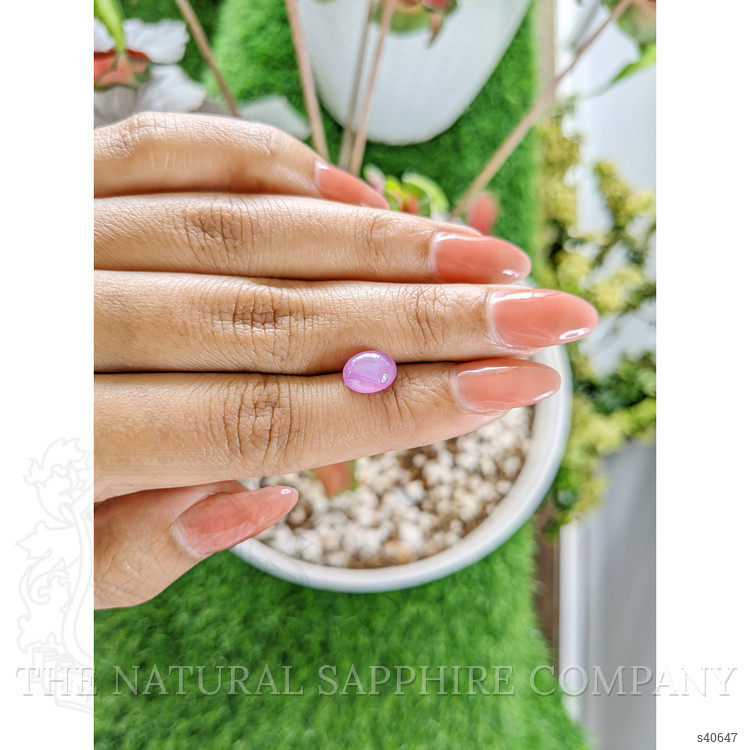 2.58 Ct. Purplish Pink Star Sapphire from Ceylon (Sri Lanka)