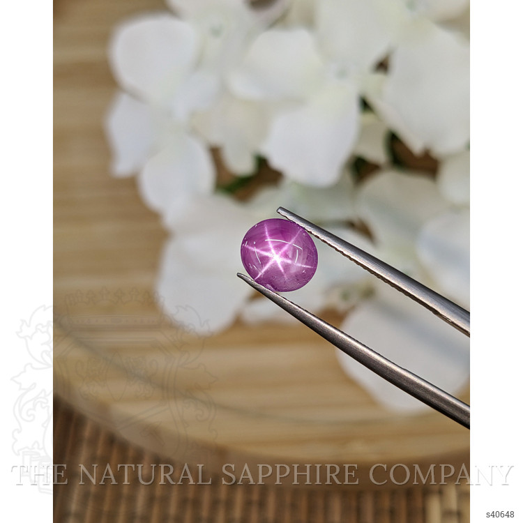 2.23 Ct. Purplish Pink Star Sapphire from Ceylon (Sri Lanka)