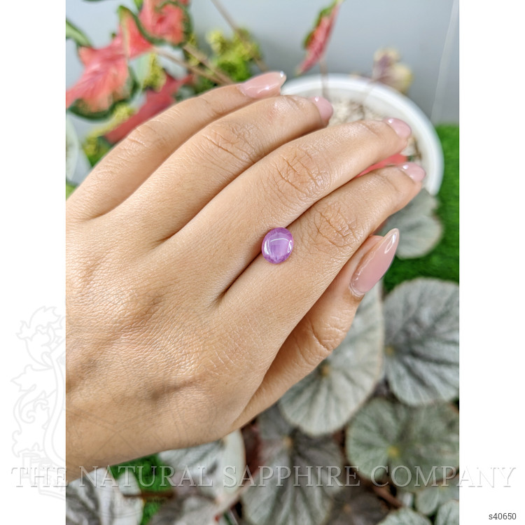 2.33 Ct. Pinkish Purple Star Sapphire from Ceylon (Sri Lanka)