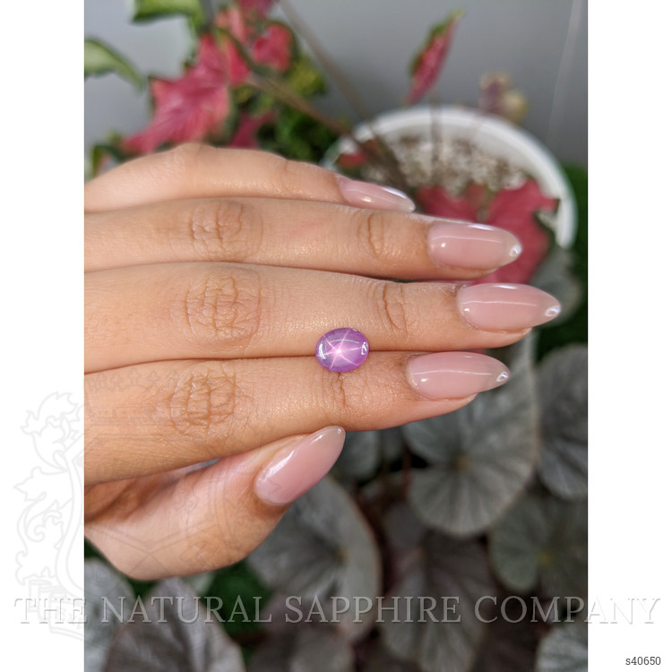2.33 Ct. Pinkish Purple Star Sapphire from Ceylon (Sri Lanka)