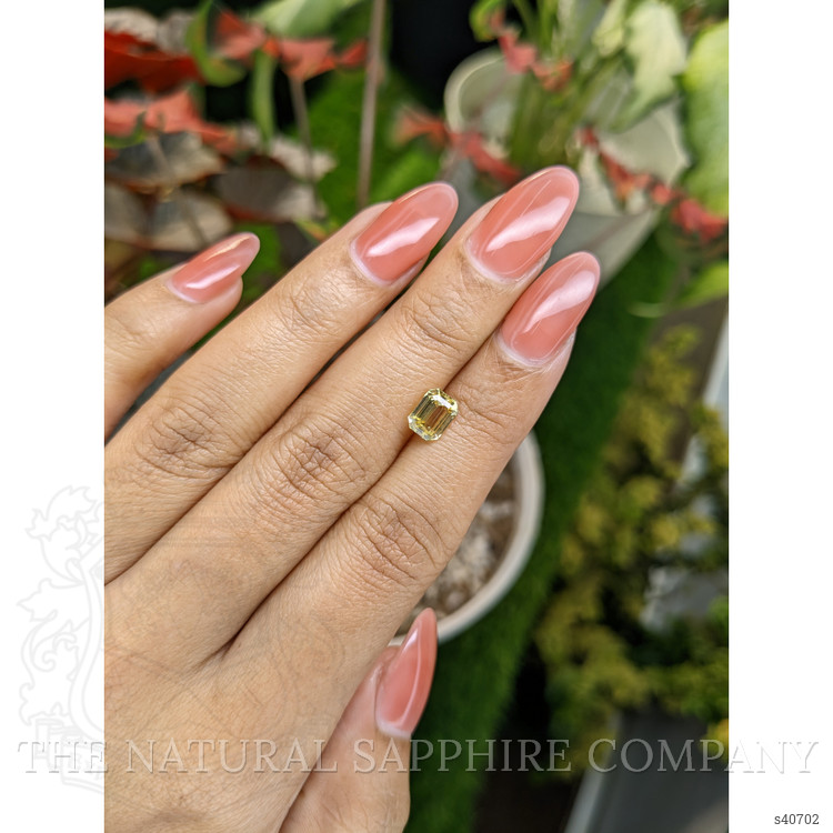 1.50 Ct. Yellow Sapphire from Ceylon (Sri Lanka)