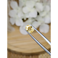 1.88 Ct. Yellow Sapphire from Ceylon (Sri Lanka) Life Style