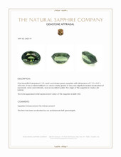 Jewelry Appraisal
