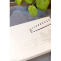 0.48 Ct. Yellow Sapphire from Montana Life Style