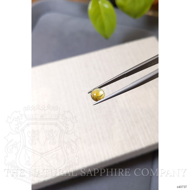 1.08 Ct. Yellow Cabochon Sapphire from Montana