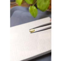 1.55 Ct. Yellow Cabochon Sapphire from Montana Life Style