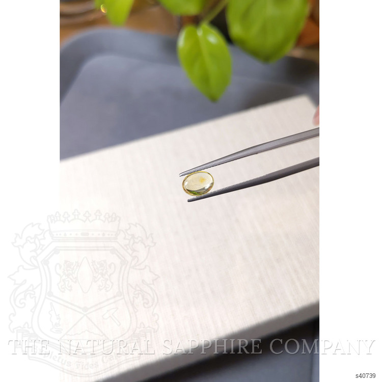 1.55 Ct. Yellow Cabochon Sapphire from Montana