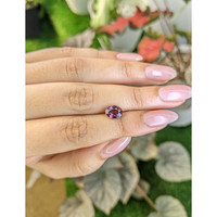 1.75 Ct. Pink Sapphire from Ceylon (Sri Lanka) Life Style