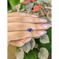 1.85 Ct. Blue Sapphire from Ceylon (Sri Lanka) Life Style
