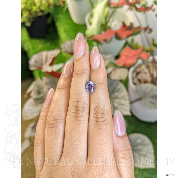 2.05 Ct. Purple Sapphire from Ceylon (Sri Lanka)