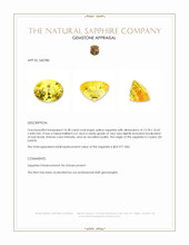 10.38 Ct. Yellow Sapphire from Ceylon (Sri Lanka) Appraisal