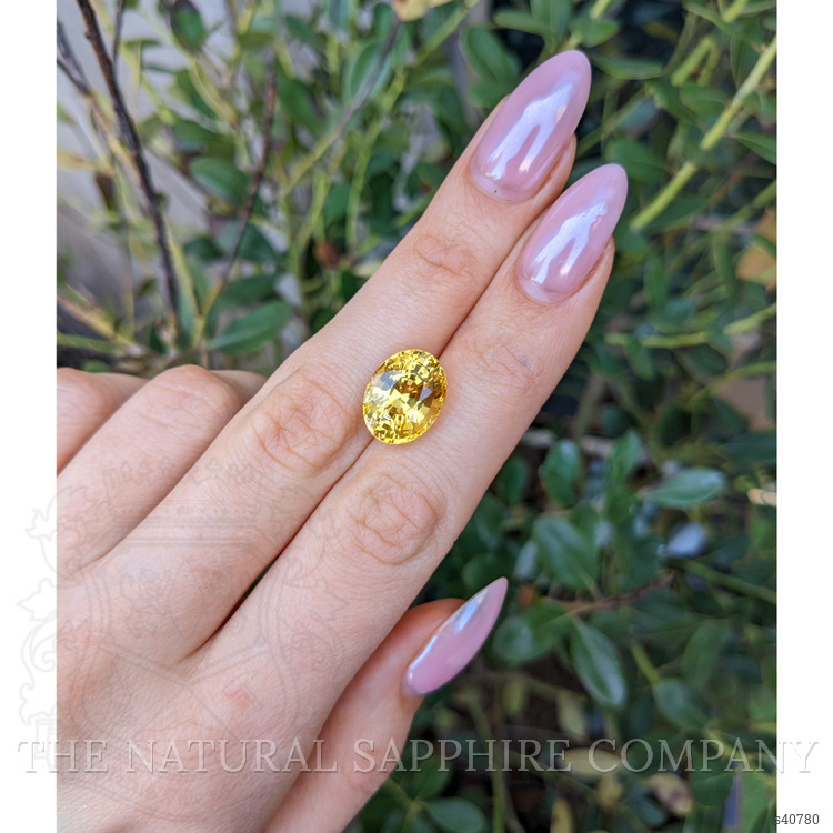 10.38 Ct. Yellow Sapphire from Ceylon (Sri Lanka)