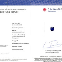 8.17 Ct. Blue Sapphire from Ceylon (Sri Lanka) Scan Report
