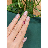 1.55 Ct. Pink Sapphire from Ceylon (Sri Lanka) Life Style