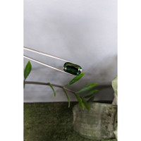 22.37 Ct. Green Sapphire from Ceylon (Sri Lanka) Life Style