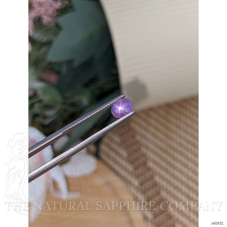 1.10 Ct. Purple Star Sapphire from Ceylon (Sri Lanka)