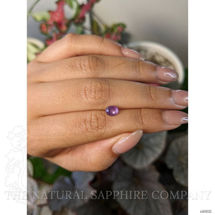 1.10 Ct. Purple Star Sapphire from Ceylon (Sri Lanka)