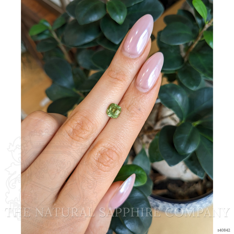2.14 Ct. Yellowish Green Sapphire from Montana