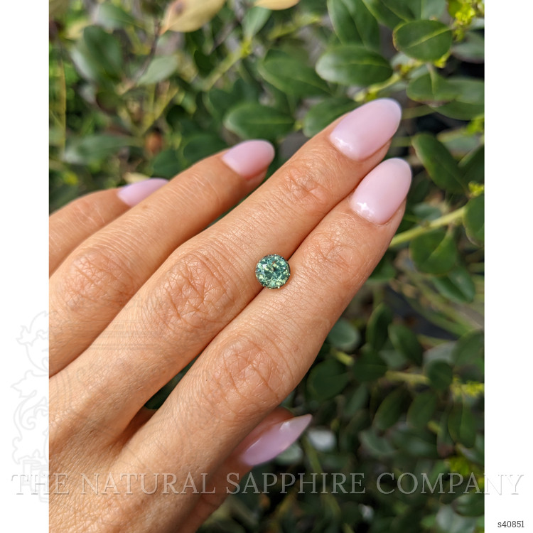 1.68 Ct. Yellowish Green Sapphire from Montana