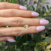 1.39 Ct. Yellowish Green Sapphire from Montana Life Style