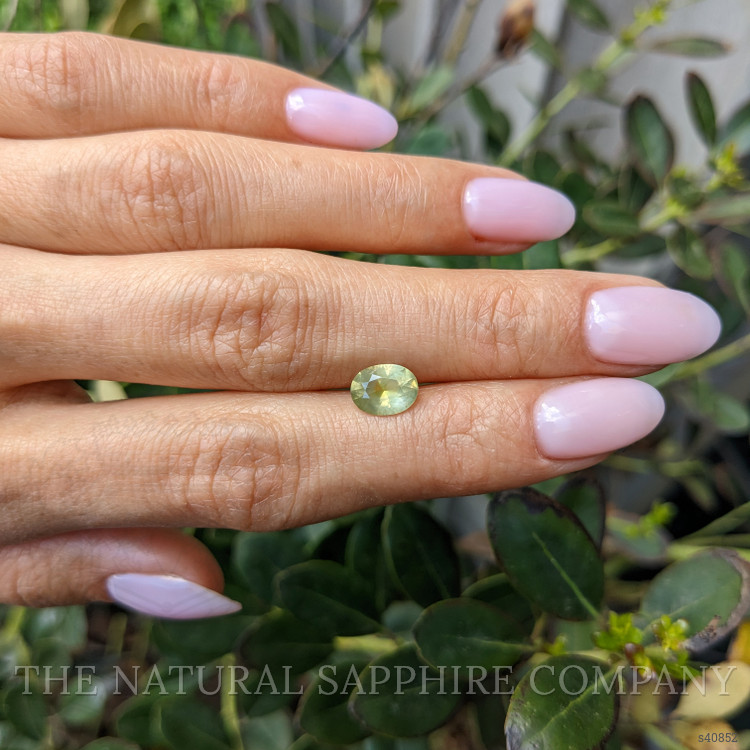 1.39 Ct. Yellowish Green Sapphire from Montana