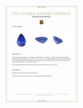 3.84 Ct. Blue Sapphire from Ceylon (Sri Lanka) Appraisal