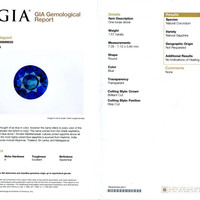 Jewelry Scan Report