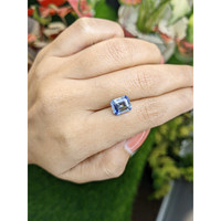 4.27 Ct. Bi Color / Parti Sapphire from Ceylon (Sri Lanka) Life Style