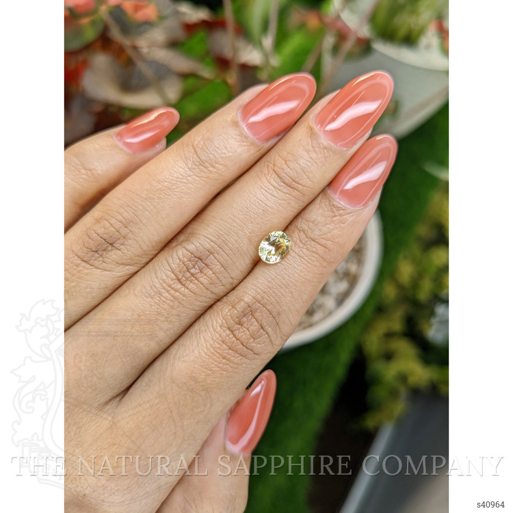 1.33 Ct. Yellow Sapphire from Ceylon (Sri Lanka)