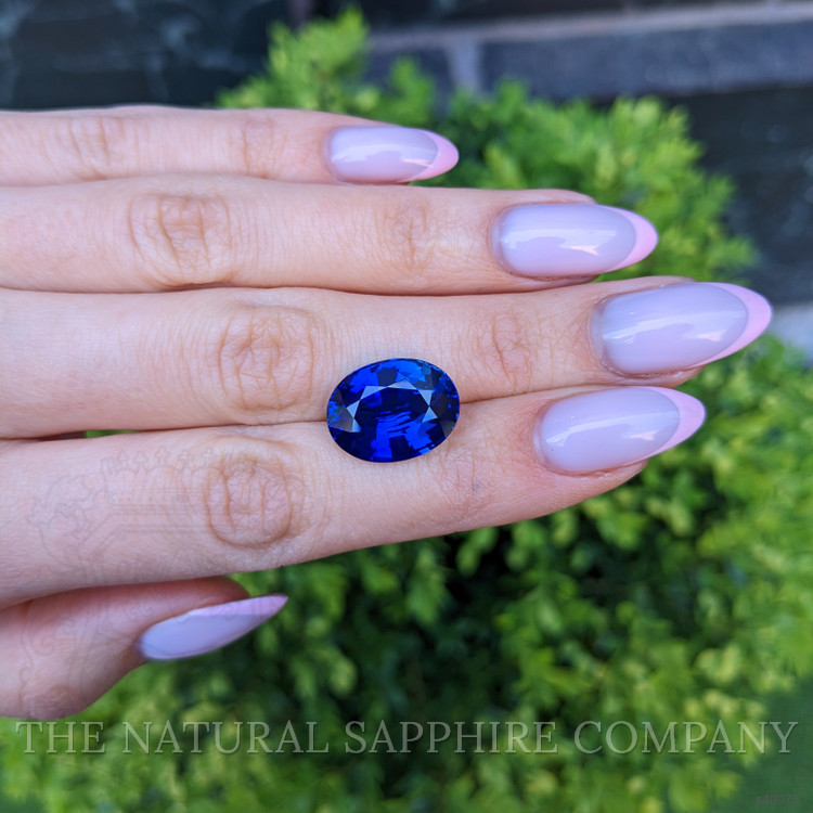 14.15 Ct. Blue Sapphire from Ceylon (Sri Lanka)