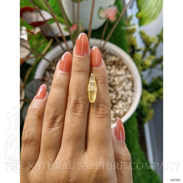 6.80 Ct. Yellow Sapphire from Ceylon (Sri Lanka)
